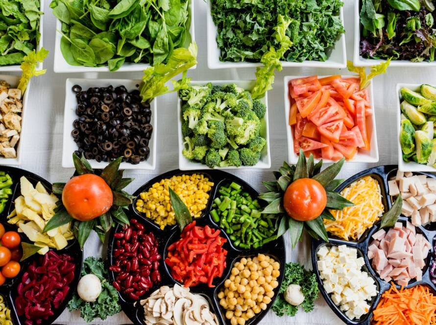 circulatory system nutrition
