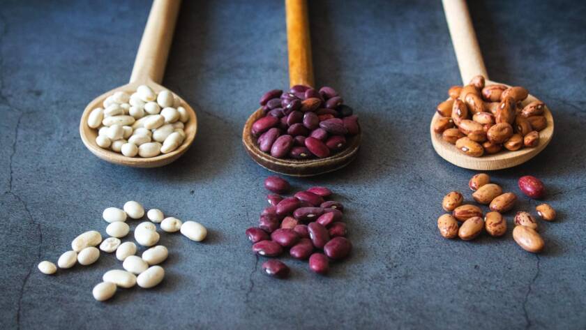 Healthy Lectin Intake